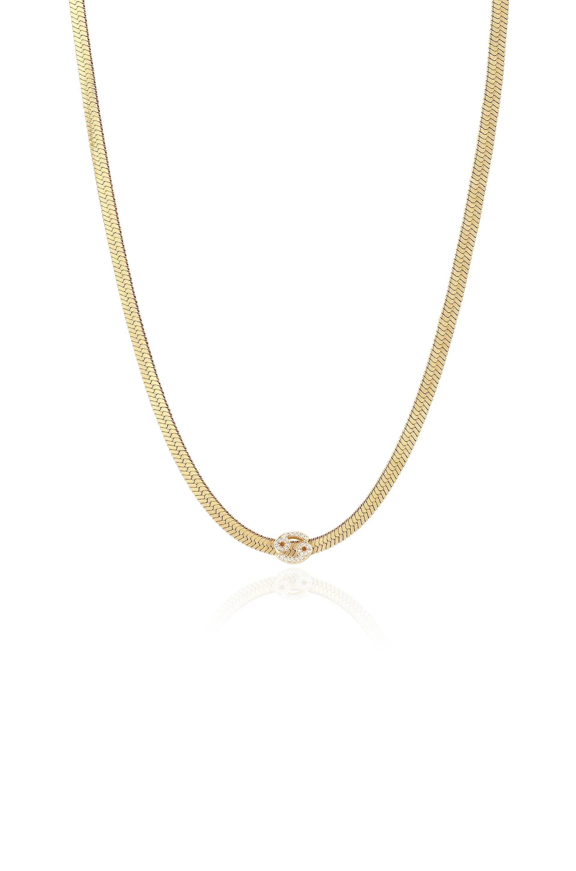 Zodiac Herringbone Necklace - Image 6