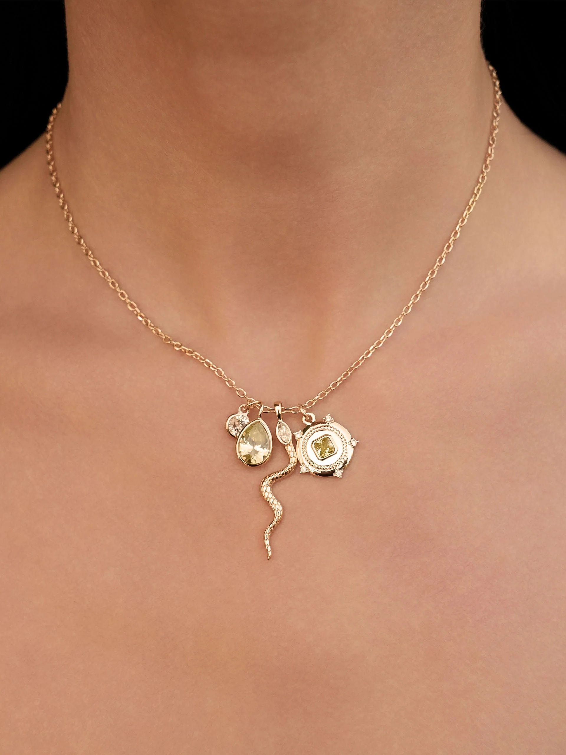 Serpentina Snake Charm Necklace - Image 8